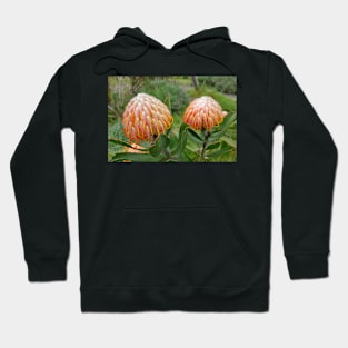 Lavender Farms Study 34 Hoodie